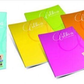 Gıpta 2054 Mica Tel Dikişli Pp Kapak A5 80 Yaprak Çizgili Defter