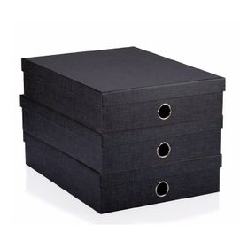 Gıpta 4-ORG7396-2161 Blista Black Dosya Kutusu