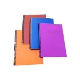 Gıpta 4176 60 Yaprak A4 Eko Spiralli Plastik Kapak Kareli Defter