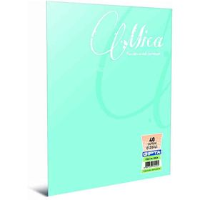 Gıpta 73514 Defter A4 Mıca Pp 60 Yaprak Çizgili Defter