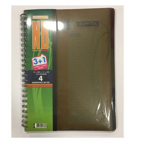 Gıpta A4 150 Yaprak 3 Kareli + 1 Çizgili Plastik Kapaklı Sipiralli Defter