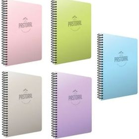 Gıpta A4 160 Yaprak Kareli Spralli Plastik Kapak Defter