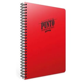 Gıpta A4 3-6536000-2011 Spiralli Punto Plastik Kapak Çizgili 100 YP Defter