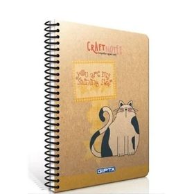 Gıpta A4 Only Note Çizgili Spiralli Ofset Plastik Kapaklı 100 Yaprak Defter
