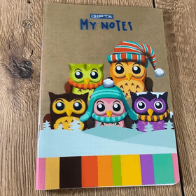 Gıpta A5 60 Yaprak Kareli Defter