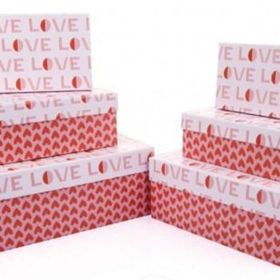 Gıpta BX0663 Valentines Day Lindo Dikdörtgen 6'lı Hediye Kutusu