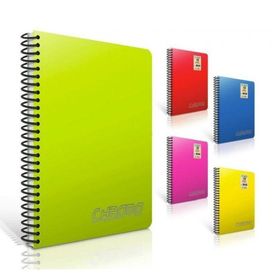 Gıpta Chromo A4 Spiralli PP Kapak 200 Yaprak Kareli Asorti Defter