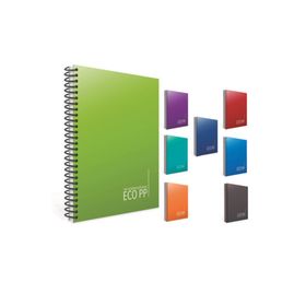 Gıpta Eko Pp A4 100 Yaprak Kareli Spiralli Plastik Kapak 1 Adet Defter
