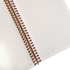 Gıpta Enviro Kraft A4 Kareli 100 Yaprak Spiralli Defter