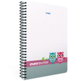 Gıpta Evernote A4 80 Yaprak Çizgili Spiralli Ofset Defter