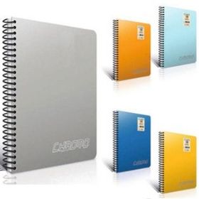 Gıpta Feather A4 Pp Kapak Spiralli Çizgili 80 Yaprak Defter