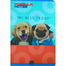 Gıpta Formula A4 Plastik Kapak 80 Yaprak Çizgili Defter
