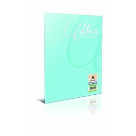 Gıpta Liberte A4 40 Yaprak Kareli Defter