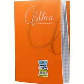 Gıpta Mica 1708 A4 Tel Dikişli PP Kapak 80 Yaprak Kareli Defter