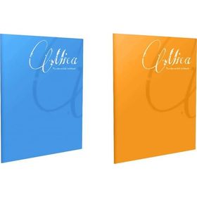 Gıpta Mica 2'li Tel Dikişli Pp Kapak A4 Kareli 100 Yaprak Defter