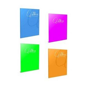 Gıpta Mica A4 60 Yaprak Çizgili Pp Kapak 4'lü Defter