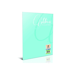 Gıpta Mıca A4 60 Yaprak Kareli Tel Dikişli Defter