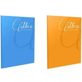 Gıpta Mica A4 60 Yaprak Pp Kapak 2'li Kareli Defter
