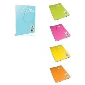 Gıpta Mica Ofset A4 Pp 80 Yaprak Çizgili Defter