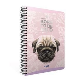 Gıpta Mıld A4 80 Yaprak Kareli Defter
