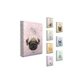 Gıpta Mıld A4 80 Yaprak Kareli Defter