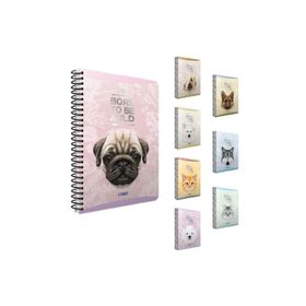 Gıpta Mıld A4 80 Yaprak Kareli Defter