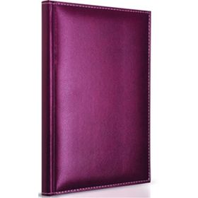 Gıpta Modelist 160 Yaprak Çizgili 17x24 İplik Dikişli Deri Kapaklı Defter