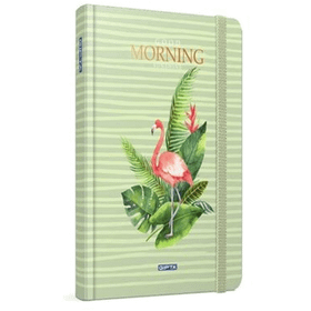 Gıpta Morning 13x21 120 Yaprak Çizgili Defter