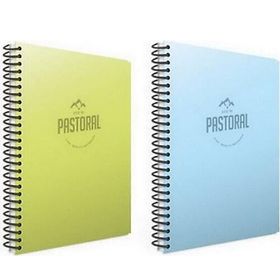 Gıpta Pastoral 60 Yaprak A4 Spiralli 1 Kareli + 1 Çizgili Pp Kapak Defter