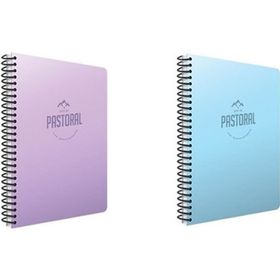 Gıpta Pastoral 60 Yaprak A4 Spiralli Kareli 2'li Pp Kapak Defter Seti