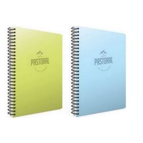 Gıpta Pastoral Spiralli A4 120 Yaprak 1 Kareli 1 Çizgili Defter