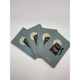 Gıpta Post-Book Spiralli Karton Kapak 17X24 80 Yaprak Kareli 4'lü Defter