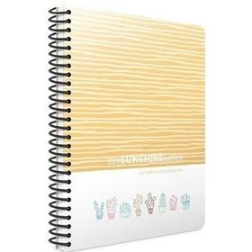 Gıpta Sunshine Turuncu Spiralli Plastik Kapak 80 Yaprak A4 Çizgili Renkli Defter