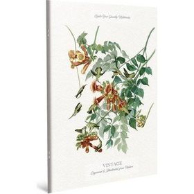 Gıpta Vintage 19x26 cm Dikişli Karton Kapak Kareli 60 Yaprak Defter