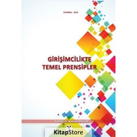 Girişimcilikte Temel Prensipler - Mehmet Naci Efe