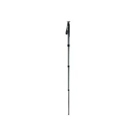 Gitzo GM2541 Monopod