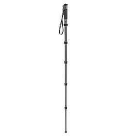 Gitzo GM2562T Monopod