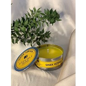 Gizemli Home Sinek Kovan Citronella Teneke Dolum Mum
