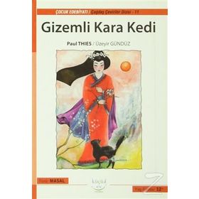 GIZEMLI KARA KEDI - PAUL THIES