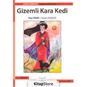 GIZEMLI KARA KEDI - PAUL THIES
