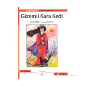 GIZEMLI KARA KEDI - PAUL THIES