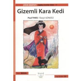 GIZEMLI KARA KEDI - PAUL THIES