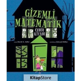 Gizemli Matematik - David A. Adler