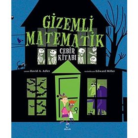 Gizemli Matematik - David A. Adler