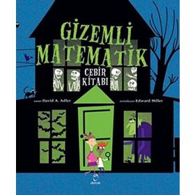Gizemli Matematik - David A. Adler