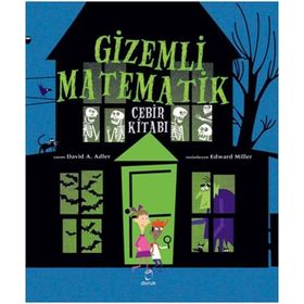 Gizemli Matematik - David A. Adler