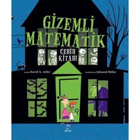 Gizemli Matematik - David A. Adler