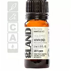 Gland Eucalyptus globulus 10 ml Okaliptus Yağı