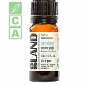 Gland Melaleuca Alternifolia 10 ml Çay Ağacı Yağı