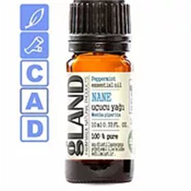 Gland Mentha Piperita 10 ml Nane Yağı